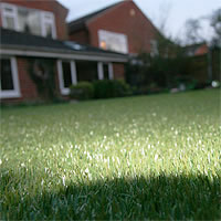 close up artificial grass