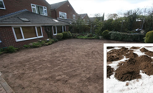 prepare ground weed prevention